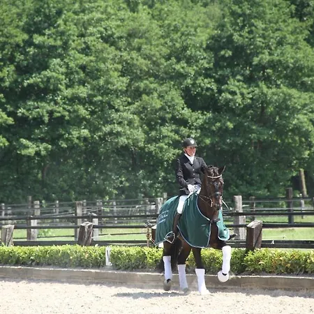 Linden Am Venekotensee 3* Niederkrüchten