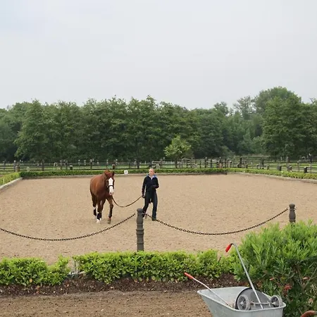 فندق Linden Am Venekotensee