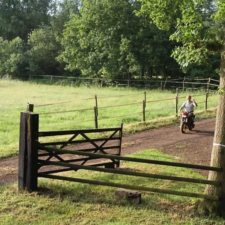 Linden Am Venekotensee