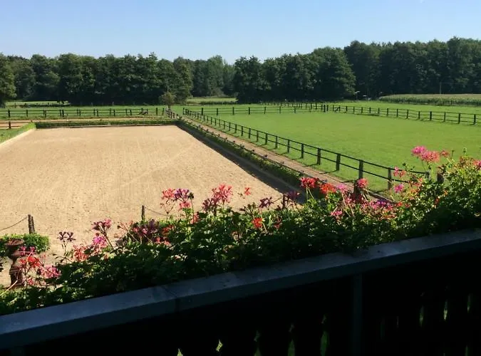 Linden Am Venekotensee