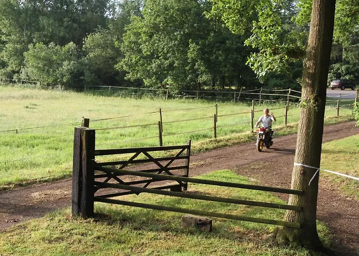 Linden Am Venekotensee