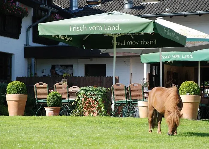 Linden Am Venekotensee 3* Niederkrüchten